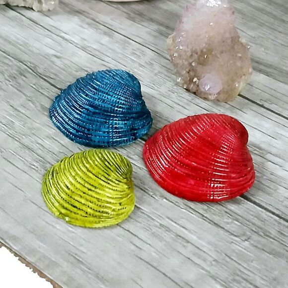 3 Piece Assorted Seashells, Craft Supplies, Nautical Florida Shells OOAK - Picture 2 of 4